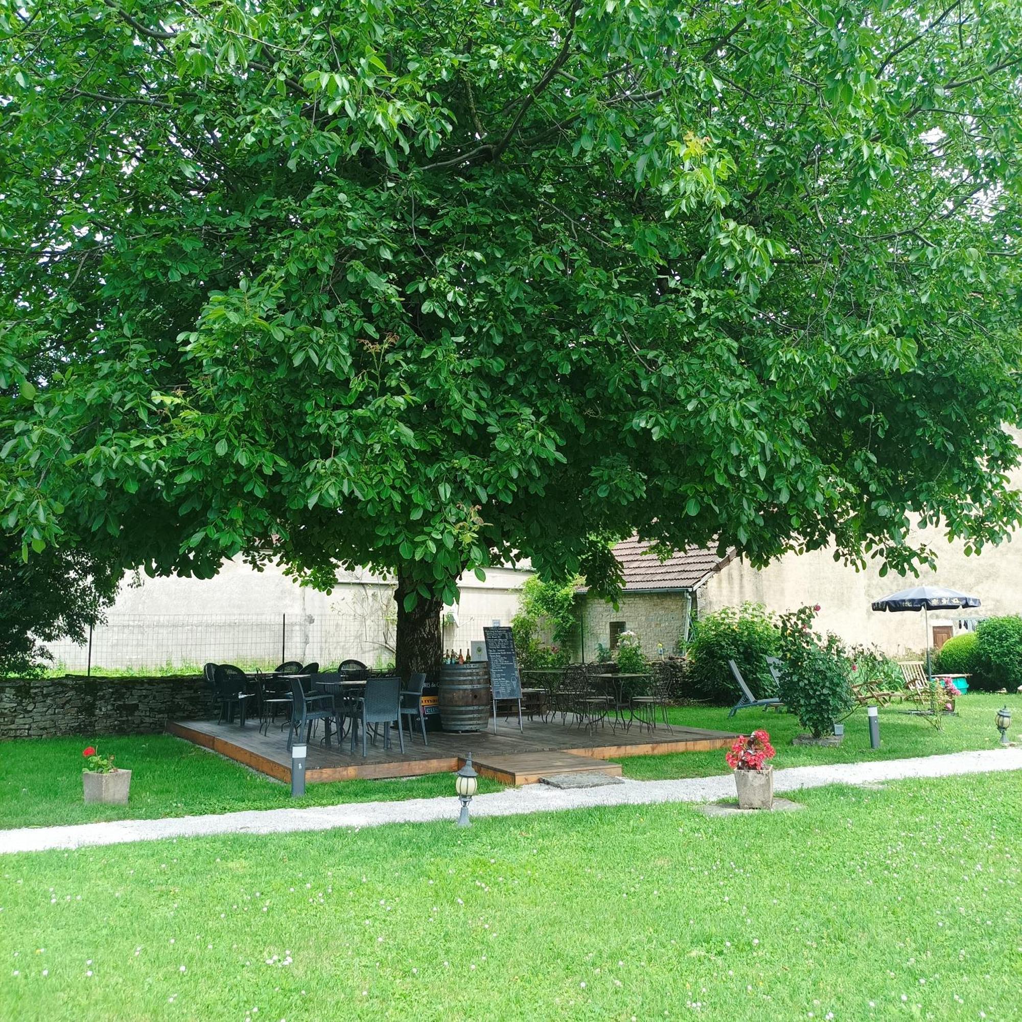 Maison D'Eusebia Château-Chalon エクステリア 写真