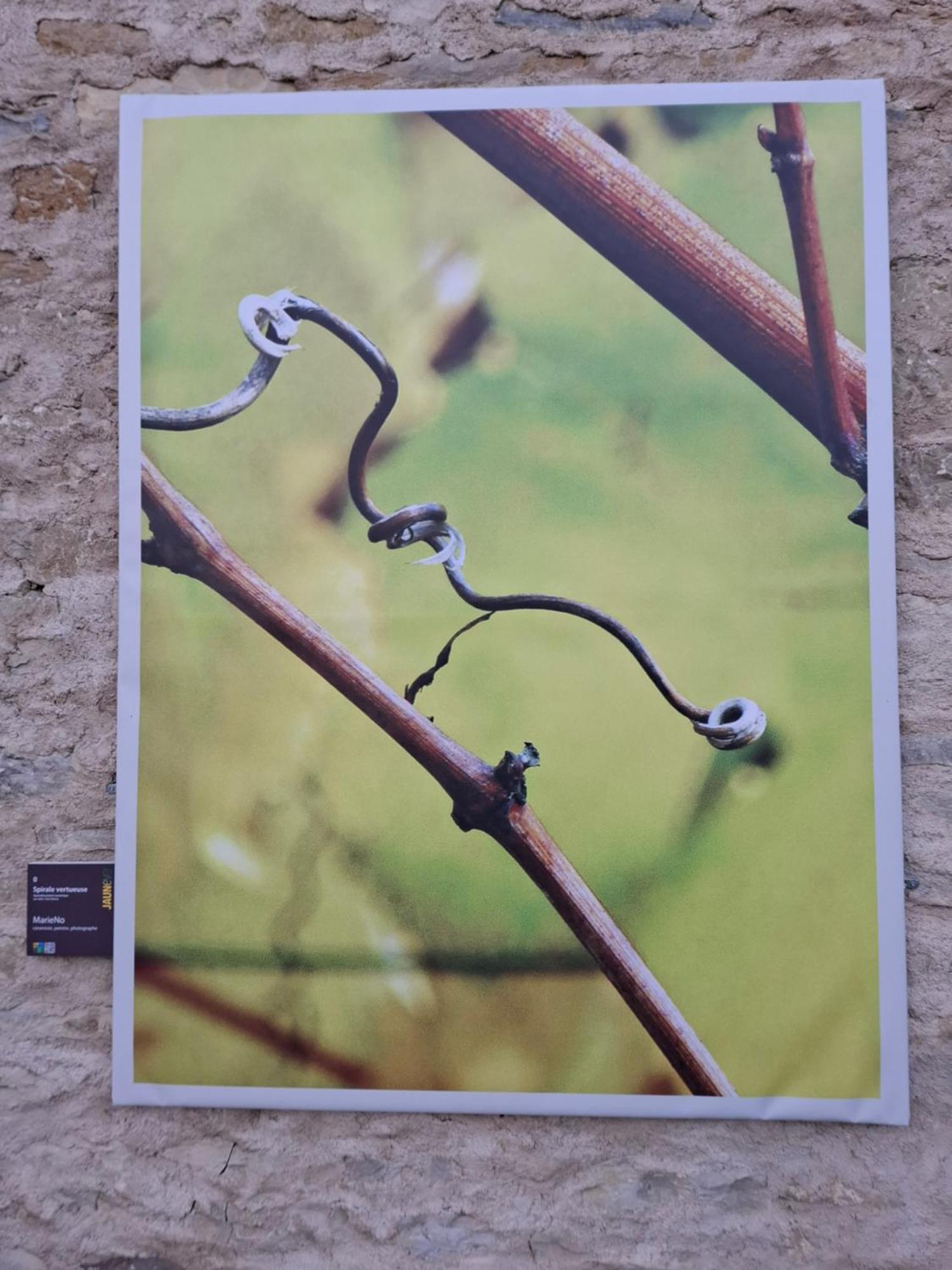 Maison D'Eusebia Château-Chalon エクステリア 写真